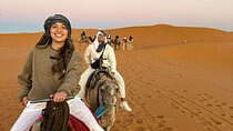 Savor a Sunset Camel Ride with Barbeque Dinner – Agadir