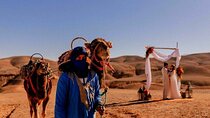 Palmeraie Camel Ride for 2 Hour with Transfer– Marrakesh