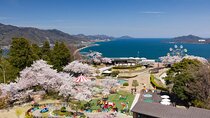 Amanohashidate And Ine Funaya One Day Tour from Osaka