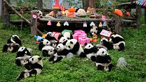 5 Day Jiuzhaigou and Chengdu Adventure with Pandas and Hotpot
