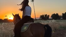 2-Hour Palmeraie Horse Ride with Transfer - Marrakesh