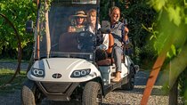 Classic:Tuscan Vineyard Golf Cart Tour with WineTasting and Lunch