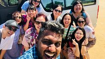 Sri Lanka Sightseeing Day Tour from Colombo and Negombo