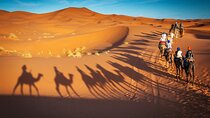 Marrakech to Merzouga 3-day desert tour