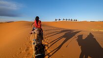 Marrakech to Fes: 3-Day Sahara Desert Tour