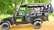 All inclusive Safari Tour at Wasgamuwa National Park from Kandy