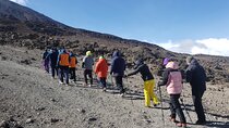 Marangu Route: Comfortable Kilimanjaro Climb with Huts