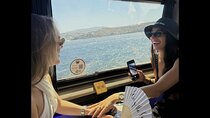Private Mykonos Island tour by Luxury Minibus up to 11 passengers