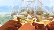 Half-day Chianti Classico Wine tour from Florence - Small Group