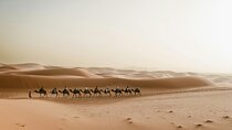 Morocco Multi Day Tour from Marrakech
