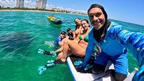Hollywood, FL: Snorkel, Kayak & Paddleboard W/ Reefs & Sculptures