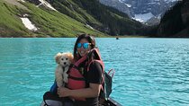 Discover Banff National Park with Dog Friendly Exclusive Tour 