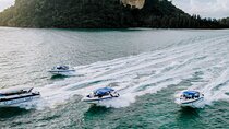 Early Bird Phi Phi 4 Islands by Speedboat 2 Trips in 1 Day