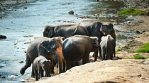 Private 5 Day Tour Across Sri Lanka Highlights