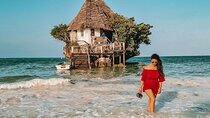 Jozani Forest & Rock Restaurant Experience & Transfer - Zanzibar