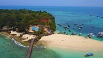 Prison Island Half Day Journey With Transfers - Zanzibar