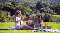 Kirstenbosch Botanical Gardens Guided Tour with Picnic Lunch