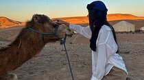 Overnight Private Zagora Desert Camp & Camel Ride – Marrakesh