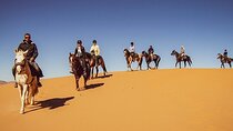 2-Hour Horseback Riding Experience with Lunch – Agadir