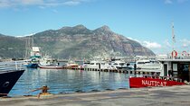 Cape Town 3-Day Experience: Penguins, Wine & Table Mountain