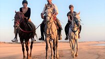 Horseback Desert Riding Experience for 2 Hours – Agadir