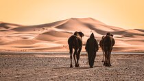 Private 4 Days To Marrakech Via Merzouga Desert From Agadir