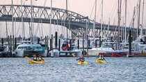 City Scenes Kayak Tour in Auckland - Explore the Waterfront