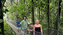 Explora la Selva Tropical:Puentes Colgantes y Catarata La Fortuna