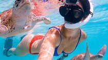 Snorkeling Adventure at Daymaniyat Islands Sharing Half Day