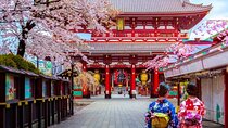 9 Day Best of Japan Cherry Blossom Small Group Tour 2026 