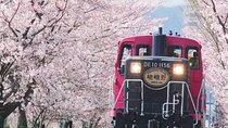 Explore Japan in 7 Days Cherry Blossom Tour 2026