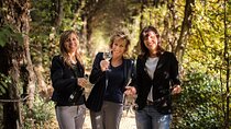Full Day Prosecco Experience: Private Wine Excursion from Venice