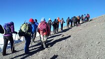 7-Day Machame Route Hiking Kilimanjaro Mountain