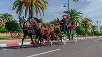 Carriage Rides Through Marrakech