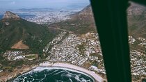 Cape Town Helicopter Tour and Boulders Beach Penguins Tour