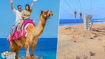 Cabo Beach Adventure Camel Ride and Sky Bike Experience