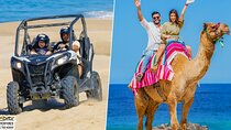 Cabo UTV and Camel Ride Combo