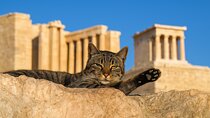 Athens: Acropolis Premium Guided Tour with Skip-The-Line Tickets