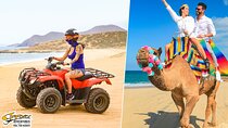 ATV & Camel Ride Tour on Migriño Beach 
