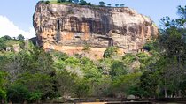 From Kandy Sigiriya Fortress and Dambulla Temple Private Day Tour