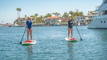Huntington Harbour Stand Up Paddle Board Lessons