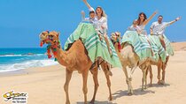 Camel Ride Tour in Los Cabos