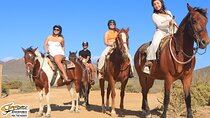 Horseback Riding Tour in Los Cabos