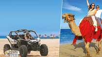 Cabo Adventure: Can-Am X3 Ride & Camel Beach Tour
