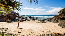 East Coast Australia 16 Day Comfort Tour from Sydney to Daintree