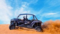 Dubai Desert Safari with Quad Bike or Buggy Thrill and Adventure