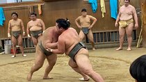 Tokyo Sumo Morning Practice with Guide – Ringside Live Training