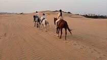 2-Hour Horseback Ride Through the Desert Scenery – Agadir