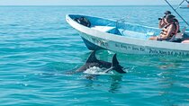 Dolphin Watching, Snorkeling Half Day Tour & Transfer – Zanzibar