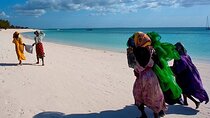 Nungwi Village & Swim with Sea Turtles With Transfer - Zanzibar
